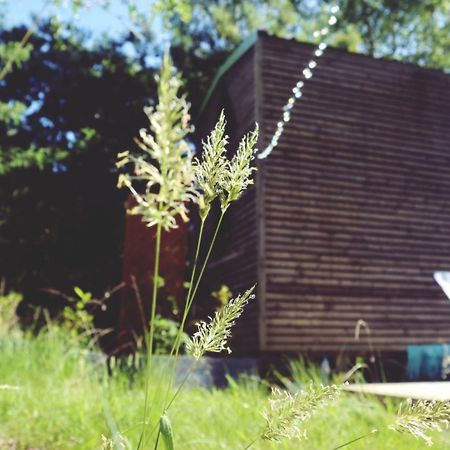 Tiny House Nouvelle Annonce Boho Ocean Hotel Naujac-sur-Mer Екстериор снимка